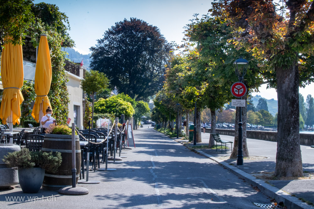 Magnifique allée longeant le lac Léman