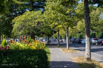 Jolie promenade au bord du lac d'Ouchy à Lausanne