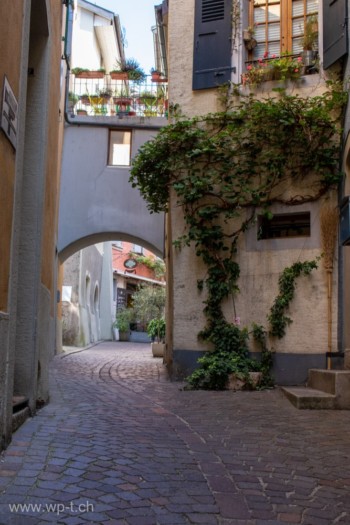 Ruelle pittoresque de Lutry avec des plantes murales